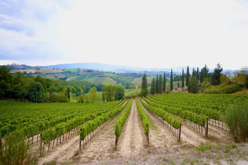 Lovely 2 Bedroom In San Gimignano Historic Center Kültér fotó